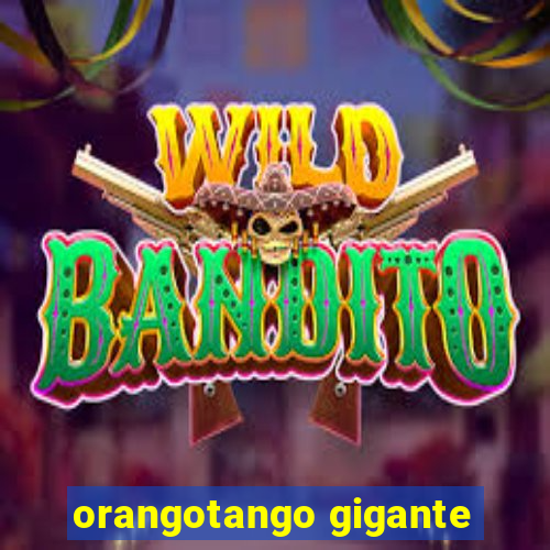 orangotango gigante